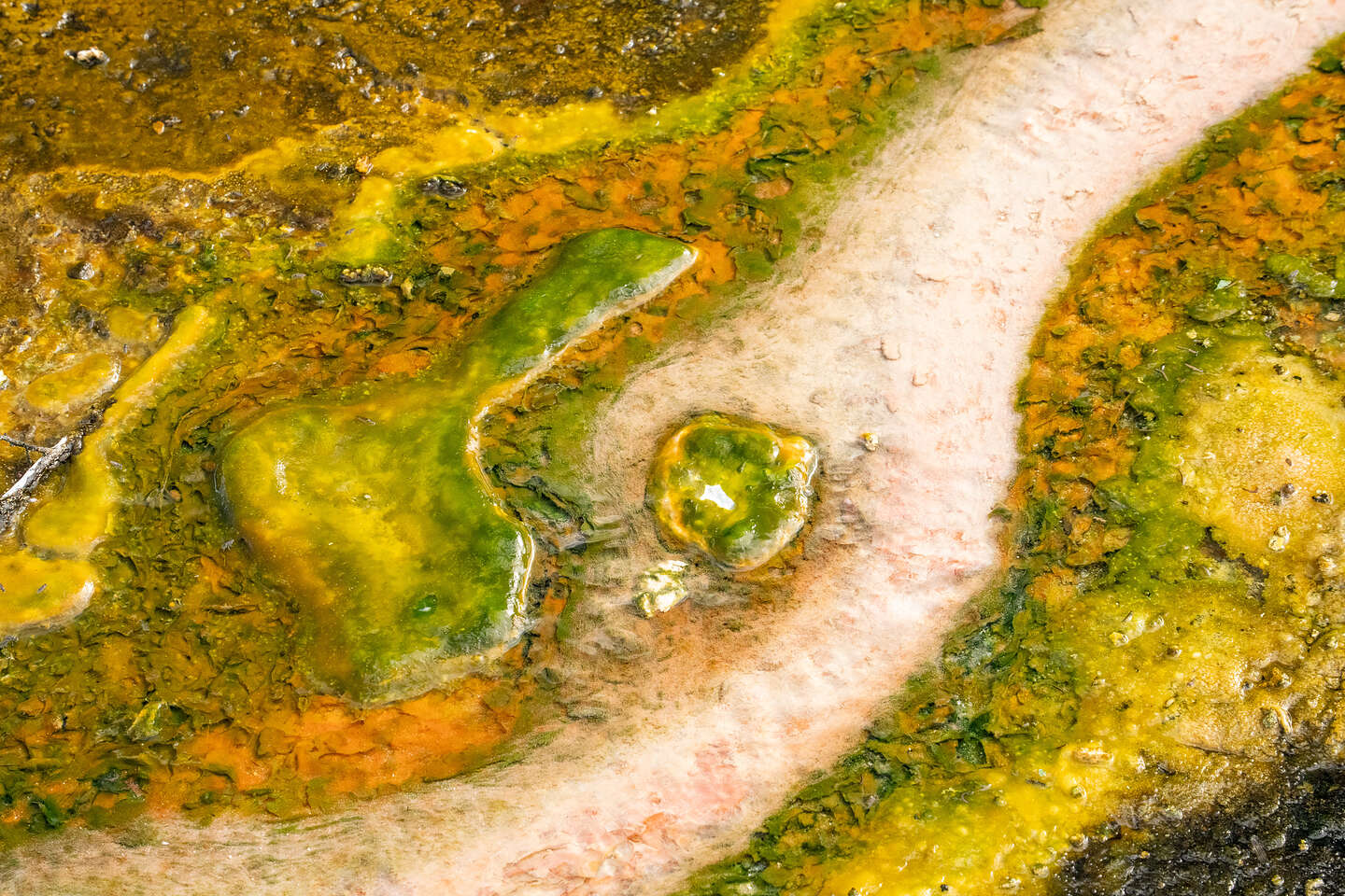 The colors of Orakei Korako